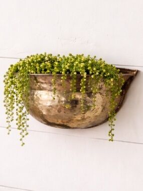 Hosley Vintage Hammered Brass Pocket Planter Wall Planter Succulent Pot